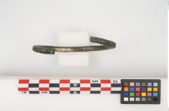 Foto von Bronzearmreif (NHMW-PRAE-025496)